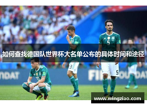 如何查找德国队世界杯大名单公布的具体时间和途径