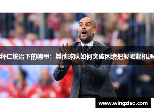 拜仁统治下的德甲:其他球队如何突破困境把握崛起机遇 拜仁统治下的德甲:其他球队如何突破困境把握崛起机遇