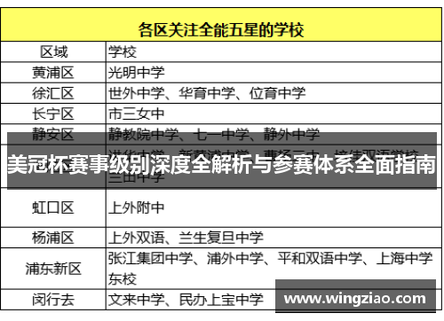 美冠杯赛事级别深度全解析与参赛体系全面指南
