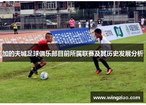 加的夫城足球俱乐部目前所属联赛及其历史发展分析