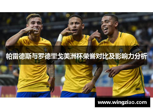 帕雷德斯与罗德里戈美洲杯荣誉对比及影响力分析