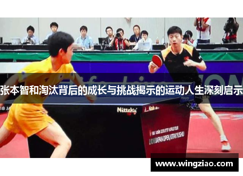 张本智和淘汰背后的成长与挑战揭示的运动人生深刻启示