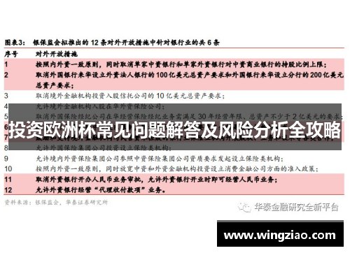 投资欧洲杯常见问题解答及风险分析全攻略