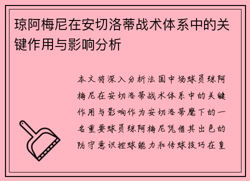琼阿梅尼在安切洛蒂战术体系中的关键作用与影响分析